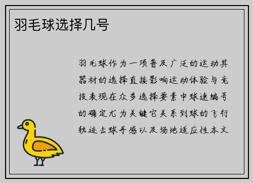 羽毛球选择几号